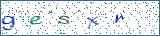Type the letters shown in the picture