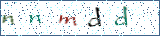 Type the letters shown in the picture