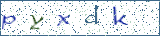 Type the letters shown in the picture