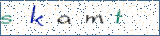 Type the letters shown in the picture