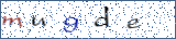 Type the letters shown in the picture