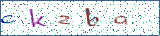 Type the letters shown in the picture