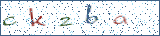 Type the letters shown in the picture