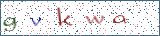 Type the letters shown in the picture