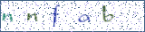 Type the letters shown in the picture