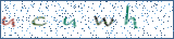 Type the letters shown in the picture