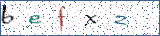 Type the letters shown in the picture
