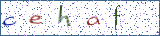 Type the letters shown in the picture