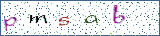 Type the letters shown in the picture