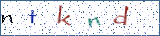 Type the letters shown in the picture