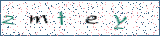 Type the letters shown in the picture
