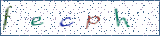 Type the letters shown in the picture