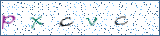 Type the letters shown in the picture