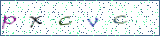 Type the letters shown in the picture