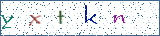 Type the letters shown in the picture