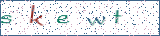 Type the letters shown in the picture