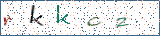 Type the letters shown in the picture