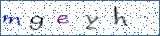 Type the letters shown in the picture