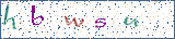 Type the letters shown in the picture
