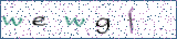 Type the letters shown in the picture