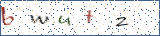 Type the letters shown in the picture