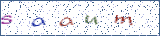 Type the letters shown in the picture