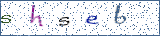 Type the letters shown in the picture