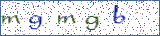 Type the letters shown in the picture
