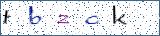 Type the letters shown in the picture