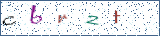 Type the letters shown in the picture