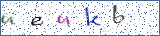 Type the letters shown in the picture