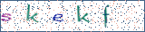 Type the letters shown in the picture