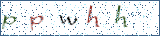 Type the letters shown in the picture