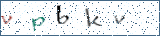 Type the letters shown in the picture