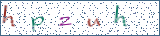 Type the letters shown in the picture