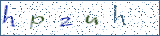 Type the letters shown in the picture