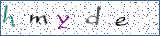 Type the letters shown in the picture