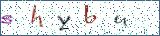 Type the letters shown in the picture