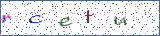 Type the letters shown in the picture