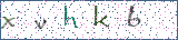 Type the letters shown in the picture
