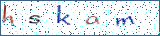 Type the letters shown in the picture