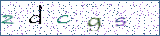 Type the letters shown in the picture