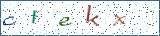 Type the letters shown in the picture