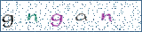 Type the letters shown in the picture