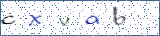 Type the letters shown in the picture