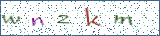 Type the letters shown in the picture
