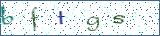 Type the letters shown in the picture