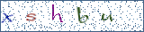 Type the letters shown in the picture