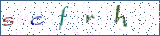 Type the letters shown in the picture