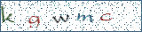 Type the letters shown in the picture